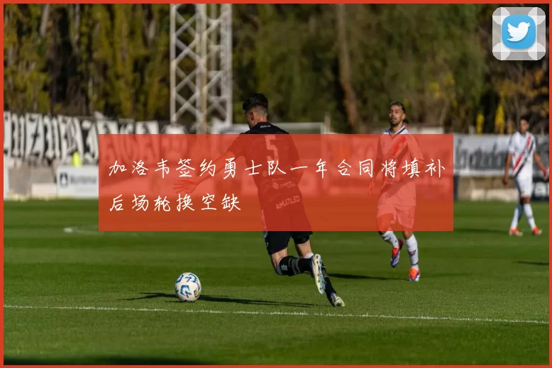 加洛韦签约勇士队一年合同将填补后场轮换空缺