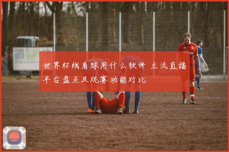 世界杯线看球用什么软件 主流直播平台盘点及观赛功能对比