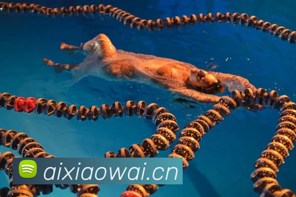 MG冰球突破官网品牌故事